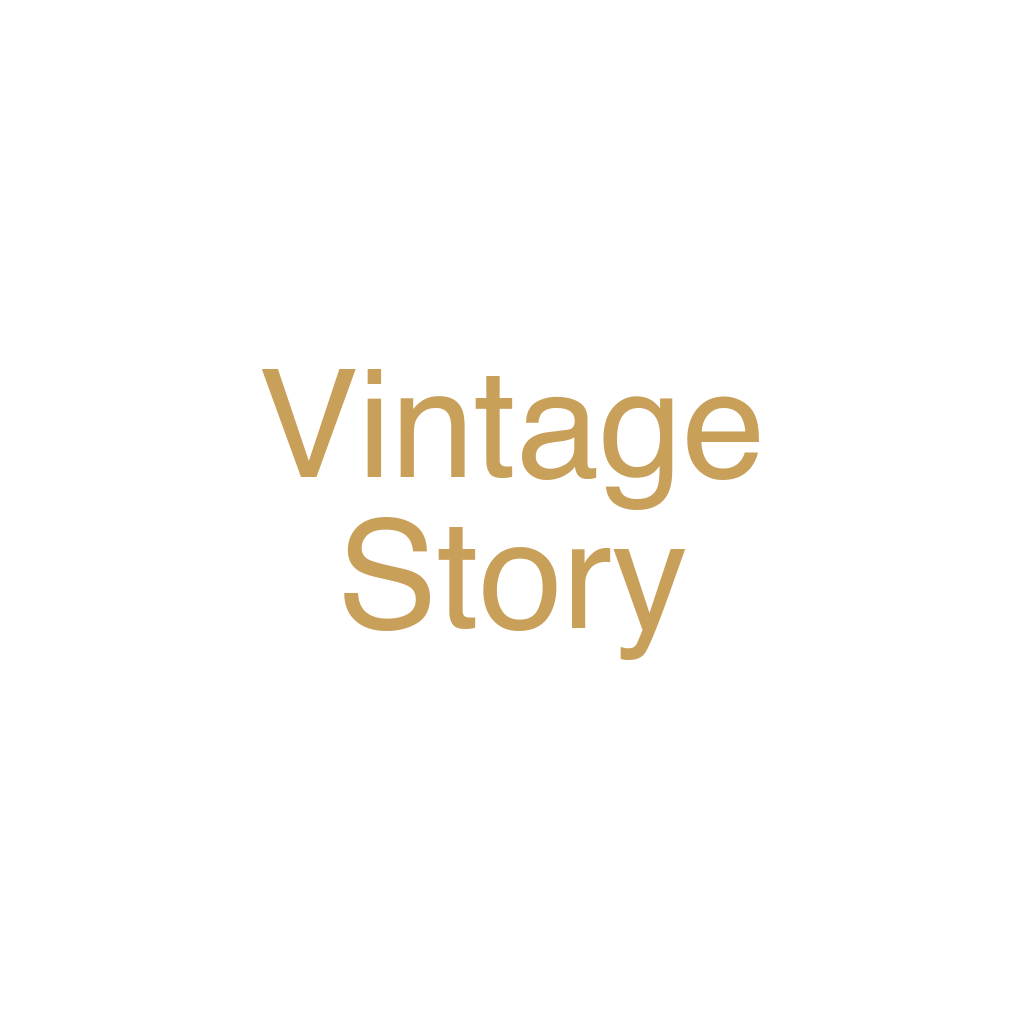 Vintage Story icon